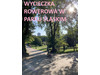 Mieszkanie śląskie
Katowice
Dąb Do wynajęcia 2650 PLN 47,5 m2 