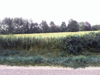 Działka mazowieckie
grodziski
Żabia Wola
Słubica Dobra Na sprzedaż 249 000 PLN 1539 m2 