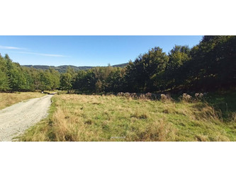 Działka dolnośląskie
wałbrzyski
Walim
Walim Na sprzedaż 223 000 PLN 1495 m2 