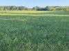 Działka mazowieckie
grójecki
Chynów
Jakubowizna Na sprzedaż 220 000 PLN 1250 m2 