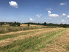 Działka lubelskie
puławski
Wąwolnica
Rąblów Na sprzedaż 690 000 PLN 14 128 m2 