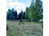Działka mazowieckie
warszawski zachodni
Leszno
Leszno Na sprzedaż 879 000 PLN 3098 m2 
