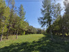 Działka mazowieckie
pułtuski
Obryte
Zambski Stare Na sprzedaż 329 000 PLN 9428 m2 