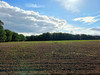 Działka kujawsko-pomorskie
Włocławek
Zawiśle Na sprzedaż 224 000 PLN 1520 m2 