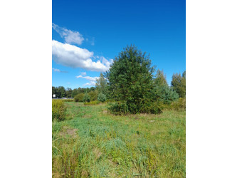 Działka opolskie
opolski
Chrząstowice
Chrząstowice Na sprzedaż 350 000 PLN 1480 m2 