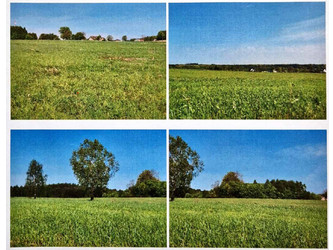 Działka pomorskie
pucki
Puck
Domatowo Na sprzedaż 59 500 PLN 106 800 m2 