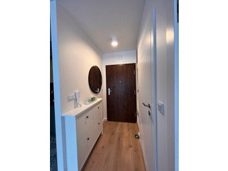 Mieszkanie śląskie
Katowice
Brynów Do wynajęcia 3000 PLN 39,96 m2 