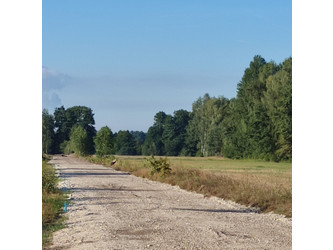 Działka łódzkie
bełchatowski
Drużbice
Zwierzyniec Na sprzedaż 150 000 PLN 20 000 m2 