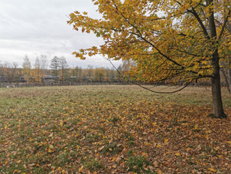 Działka śląskie
zawierciański
Łazy
Łazy Na sprzedaż 110 000 PLN 1019 m2 