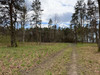 Działka mazowieckie
otwocki
Wiązowna
Duchnów Na sprzedaż 2 987 500 PLN 12 500 m2 
