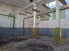 Magazyn warmińsko-mazurskie
Olsztyn
Podgrodzie Do wynajęcia 6486 PLN 282 m2 