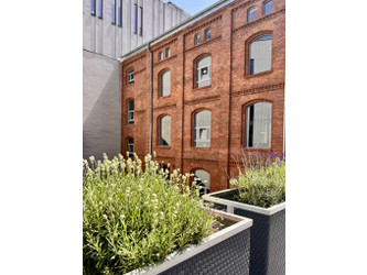 Biuro śląskie
Katowice
Śródmieście Do wynajęcia 10 900 PLN 215 m2 