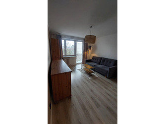 Mieszkanie lubuskie
Zielona Góra Do wynajęcia 2000 PLN 50 m2 