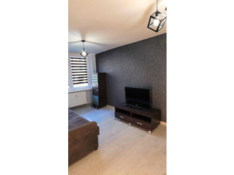 Mieszkanie śląskie
Ruda Śląska
Godula Do wynajęcia 1700 PLN 30 m2 