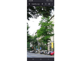 Mieszkanie małopolskie
Kraków
Stare Miasto Do wynajęcia 3200 PLN 40 m2 