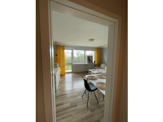 Mieszkanie zachodniopomorskie
Szczecin
Śródmieście Do wynajęcia 2300 PLN 37 m2 