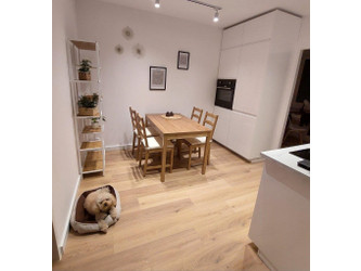 Pokój dolnośląskie
Wrocław
Stare Miasto Do wynajęcia 1600 PLN 