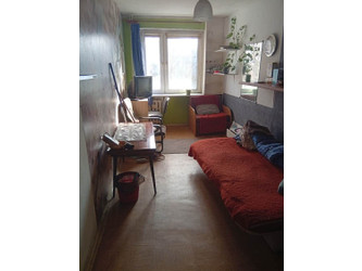 Pokój wielkopolskie
Poznań
Winogrady Do wynajęcia 800 PLN 