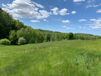 Działka warmińsko-mazurskie
ostródzki
Ostróda
Cibory Na sprzedaż 199 000 PLN 1599 m2 