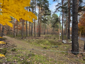 Działka mazowieckie
Warszawa
Wawer
Radość Na sprzedaż 1 649 000 PLN 1622 m2 