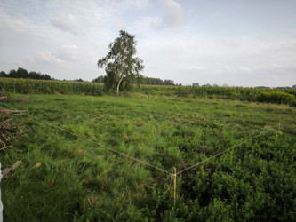 Działka mazowieckie
miński
Stanisławów
Kolonia Wólka Czarnińska Na sprzedaż 151 560 PLN 1684 m2 