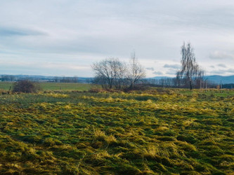 Działka dolnośląskie
lwówecki
Mirsk
Giebułtów
Augustów Na sprzedaż 199 000 PLN 2100 m2 