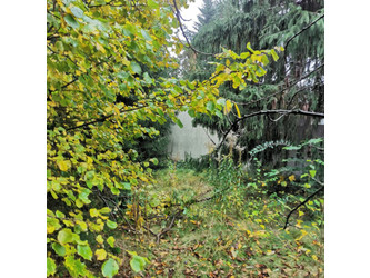 Działka łódzkie
Łódź
Polesie
Stare Polesie Na sprzedaż 180 000 PLN 264 m2 