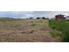 Działka mazowieckie
pruszkowski
Raszyn
Falenty Nowe Na sprzedaż 659 600 PLN 970 m2 
