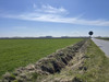 Działka wielkopolskie
kościański
Kościan
Widziszewo Na sprzedaż 7 110 000 PLN 237 000 m2 