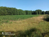 Działka dolnośląskie
wołowski
Wińsko
Kozowo Na sprzedaż 307 200 PLN 6400 m2 