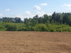 Działka pomorskie
wejherowski
Szemud
Donimierz Na sprzedaż 119 000 PLN 1000 m2 