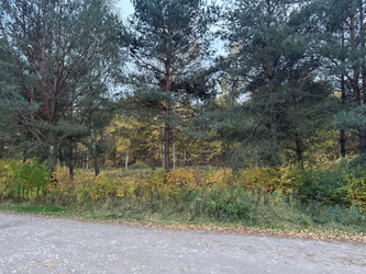 Działka mazowieckie
Warszawa Na sprzedaż 2 240 000 PLN 2654 m2 