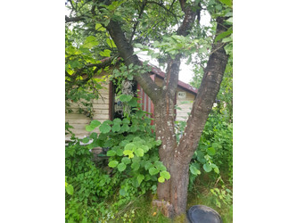 Działka małopolskie
wielicki
Wieliczka
Wieliczka Na sprzedaż 55 000 PLN 333 m2 