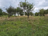 Dom małopolskie
krakowski
Liszki
Mników Na sprzedaż 670 000 PLN 80 m2 