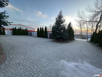 Magazyn podkarpackie
Tarnobrzeg Do wynajęcia 6600 PLN 430 m2 