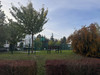 Mieszkanie mazowieckie
Warszawa
Ursynów Na sprzedaż 1 290 000 PLN 74 m2 