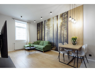 Mieszkanie łódzkie
Łódź Do wynajęcia 1850 PLN 45 m2 