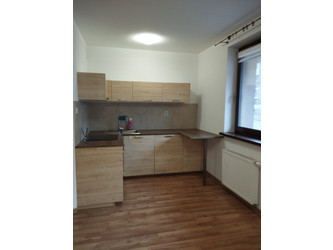 Mieszkanie śląskie
Chorzów
Chorzów Stary Do wynajęcia 990 PLN 25 m2 