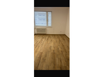 Mieszkanie pomorskie
malborski
Malbork Do wynajęcia 1500 PLN 28 m2 