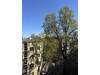Mieszkanie mazowieckie
Warszawa
Śródmieście
Powiśle Do wynajęcia 3800 PLN 42 m2 