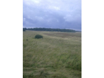 Działka zachodniopomorskie
sławieński
Darłowo
Barzowice Na sprzedaż 99 000 PLN 3000 m2 