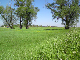 Działka dolnośląskie
wrocławski
Żórawina
Galowice Na sprzedaż 349 000 PLN 4500 m2 