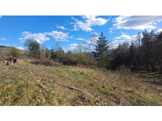 Działka małopolskie
suski
Maków Podhalański
Maków Podhalański Na sprzedaż 146 700 PLN 3263 m2 