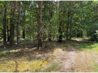 Działka świętokrzyskie
konecki
Końskie
Końskie Na sprzedaż 7425 PLN 6899 m2 
