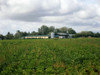 Działka kujawsko-pomorskie
golubsko-dobrzyński
Golub-Dobrzyń
Ostrowite Na sprzedaż 1 650 000 PLN 73 400 m2 