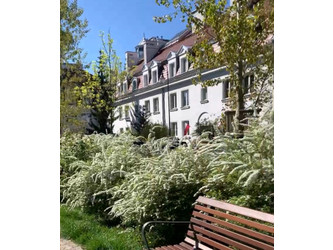 Mieszkanie mazowieckie
Warszawa
Żoliborz
Stary Żoliborz Do wynajęcia 2800 PLN 35 m2 