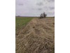 Działka opolskie
strzelecki
Strzelce Opolskie
Ligota Dolna Na sprzedaż 255 200 PLN 2552 m2 