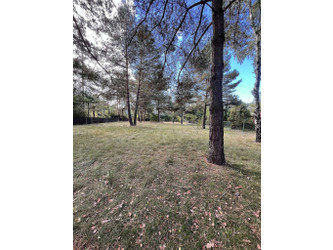 Działka mazowieckie
pułtuski
Pułtusk
Szygówek Na sprzedaż 110 000 PLN 1128 m2 