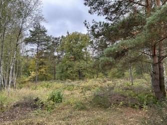 Działka mazowieckie
legionowski
Jabłonna
Chotomów Na sprzedaż 1 990 000 PLN 5300 m2 