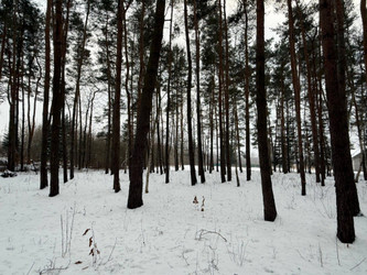 Działka mazowieckie
piaseczyński
Piaseczno
Chylice Na sprzedaż 1 129 000 PLN 1658 m2 